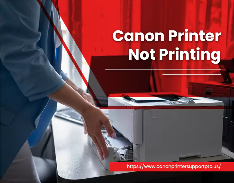 Canon printer Not Printing