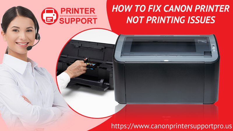 How To Fix Canon Printer Not Printing Issues Printer Support