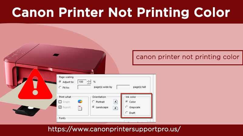 how to get the printer to print color from the computer how to get the printer to print color from the computer